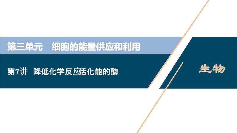 (新高考)高考生物一轮复习讲义课件第7讲降低化学反应活化能的酶 (含解析)01