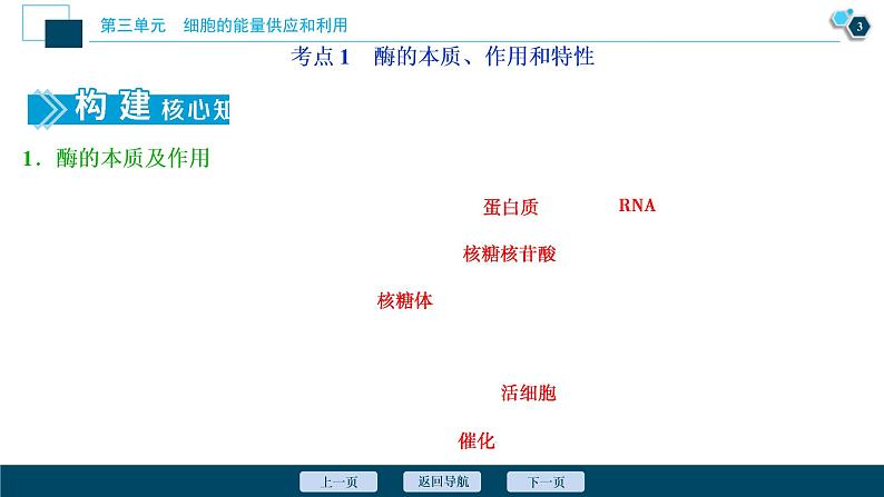 (新高考)高考生物一轮复习讲义课件第7讲降低化学反应活化能的酶 (含解析)04