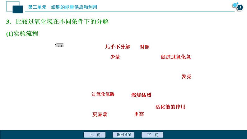 (新高考)高考生物一轮复习讲义课件第7讲降低化学反应活化能的酶 (含解析)06