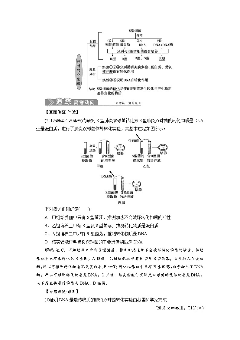 (新高考)高考生物一轮复习学案第17讲DNA是主要的遗传物质(含解析)第2页
