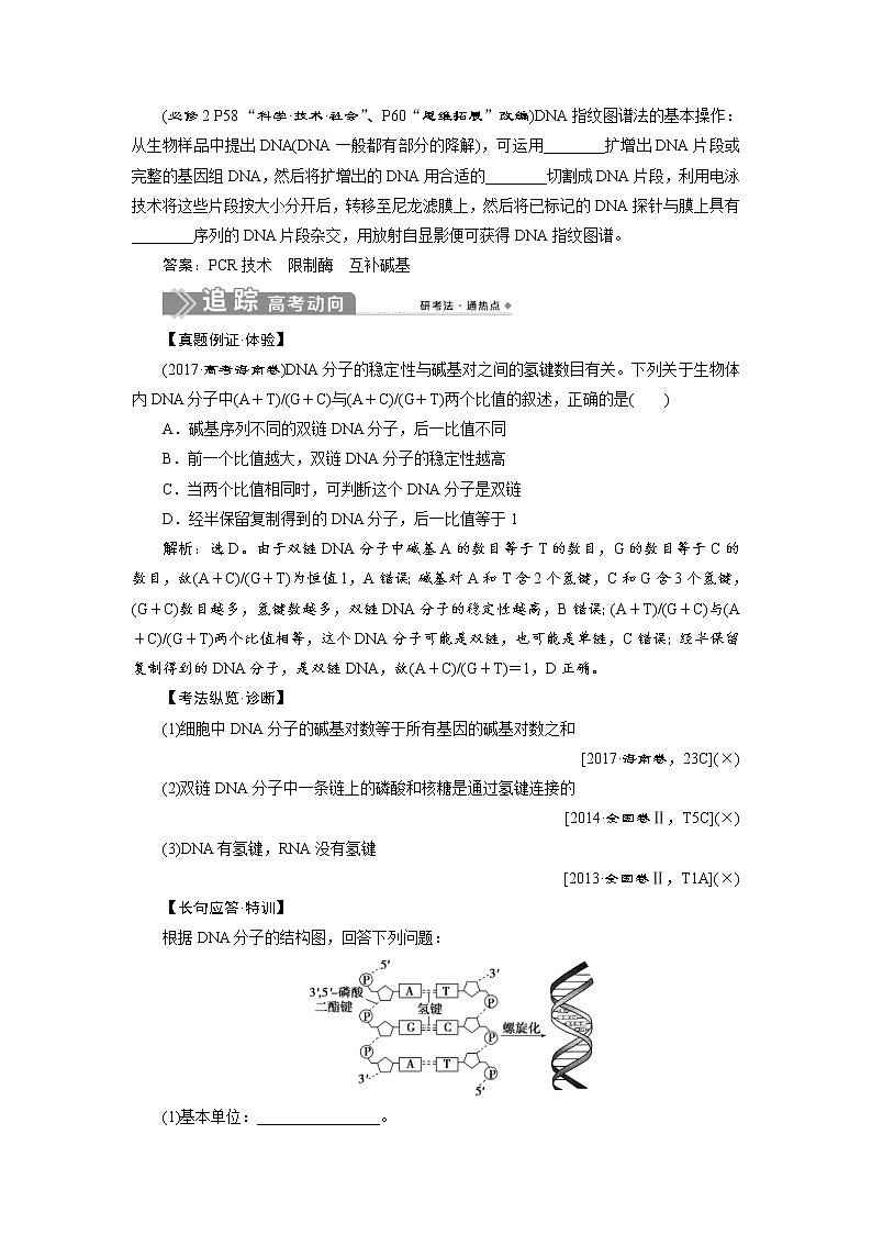 (新高考)高考生物一轮复习学案第18讲DNA分子的结构、复制及基因的本质(含解析)第2页