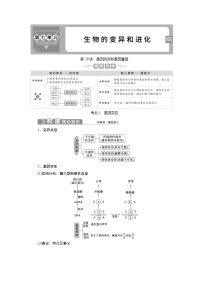 (新高考)高考生物一轮复习学案第20讲基因突变和基因重组(含解析)