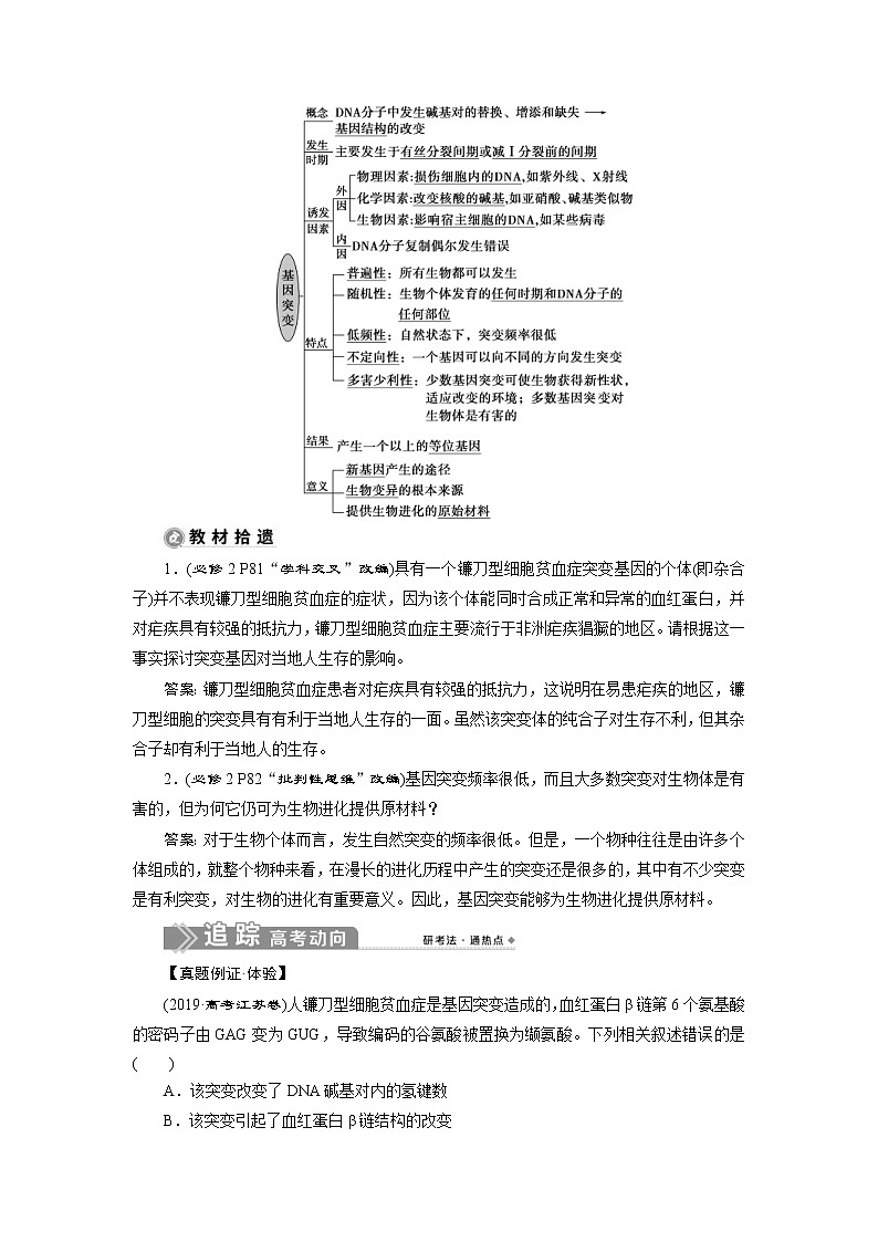 (新高考)高考生物一轮复习学案第20讲基因突变和基因重组(含解析)02
