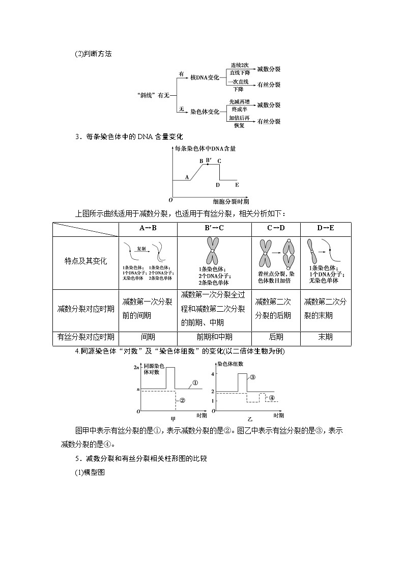 (新高考)高考生物一轮复习学案加强提升课(3)减数分裂与有丝分裂、可遗传变异、DNA复制的关系(含解析)02
