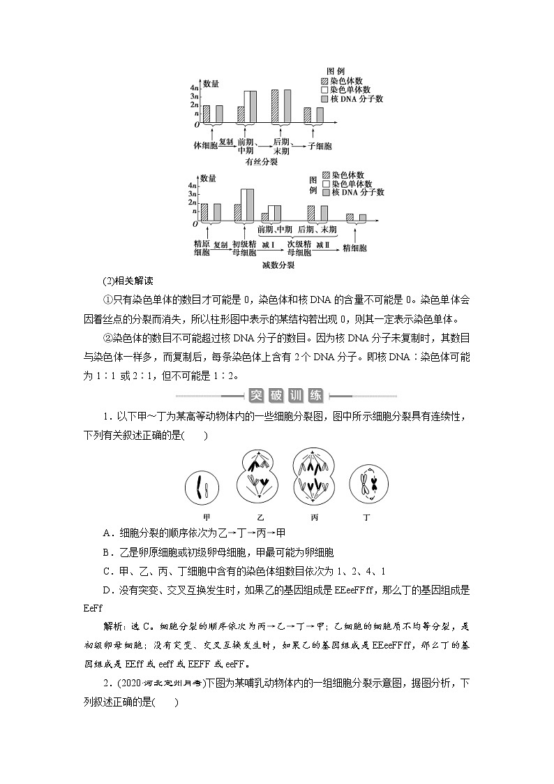 (新高考)高考生物一轮复习学案加强提升课(3)减数分裂与有丝分裂、可遗传变异、DNA复制的关系(含解析)03