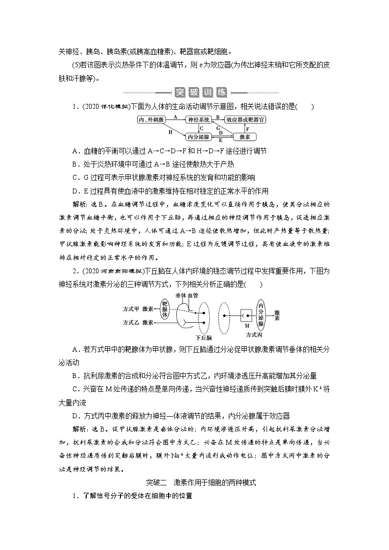 (新高考)高考生物一轮复习学案加强提升课(7)动物生命活动调节模型及相关实验突破(含解析)第2页
