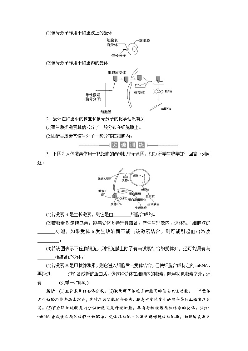 (新高考)高考生物一轮复习学案加强提升课(7)动物生命活动调节模型及相关实验突破(含解析)第3页