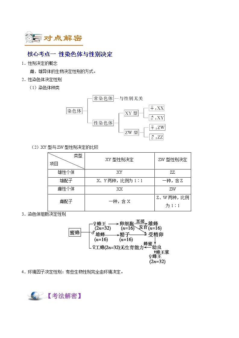 高考生物二轮复习讲义解密12人类遗传病及伴性遗传(含解析)第2页