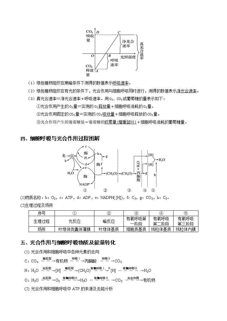 高考生物三轮冲刺核心考点透析专题02细胞呼吸与光合作用的综合（2份打包，解析版+原卷版，可预览）02