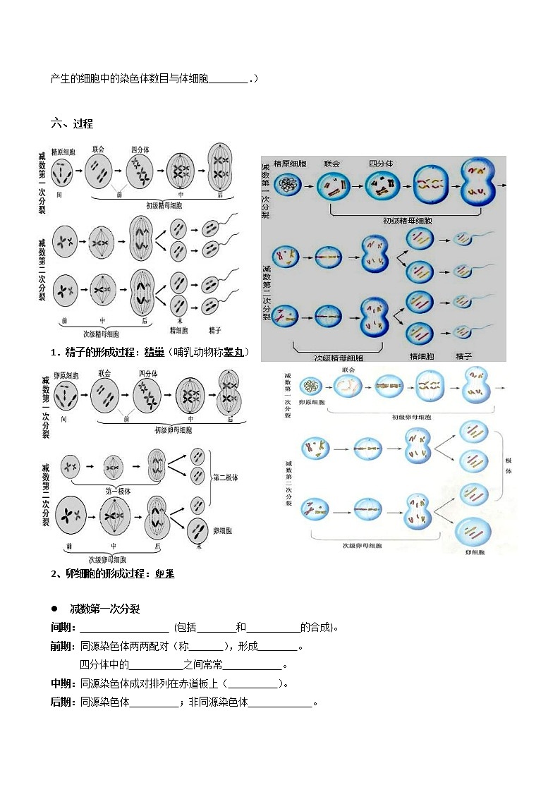 高考生物三轮冲刺核心考点透析专题03有丝分裂与减数分裂的综合（原卷版）第3页