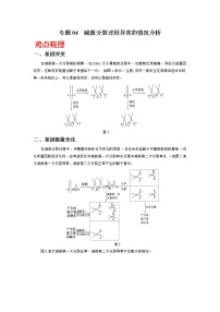 高考生物三轮冲刺核心考点透析专题04减数分裂过程异常的情况分析（2份打包，解析版+原卷版，可预览）