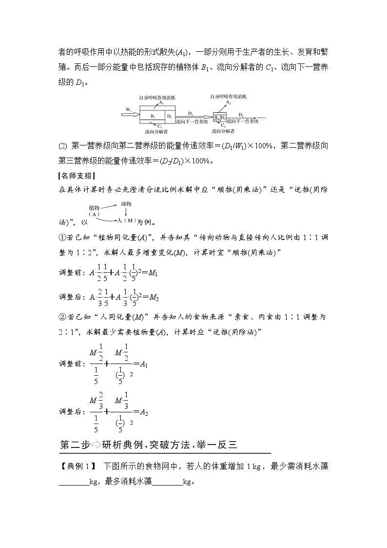 高考生物三轮冲刺核心考点透析专题09能量流动的相关计算（原卷版）第2页