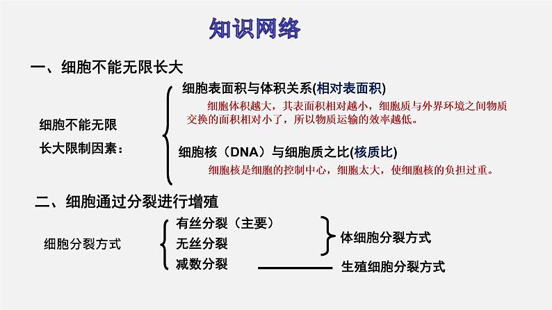 (人教版)高考生物二轮复习课件专题03 细胞的增殖 (含解析)第2页