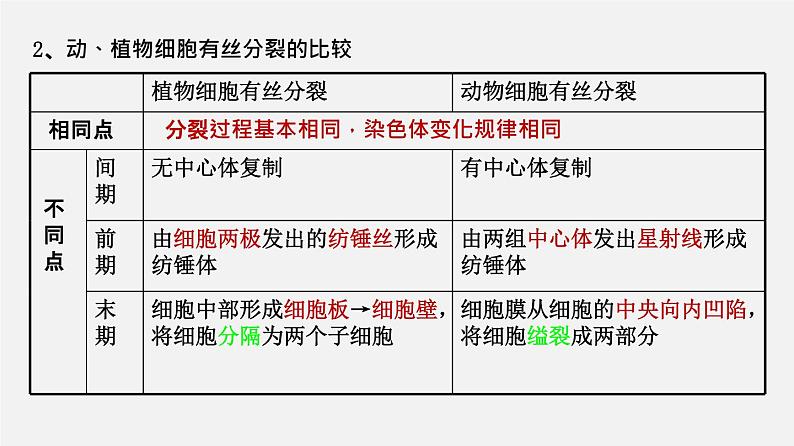 (人教版)高考生物二轮复习课件专题03 细胞的增殖 (含解析)第4页