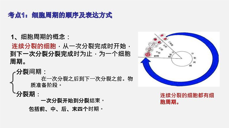 (人教版)高考生物二轮复习课件专题03 细胞的增殖 (含解析)第6页