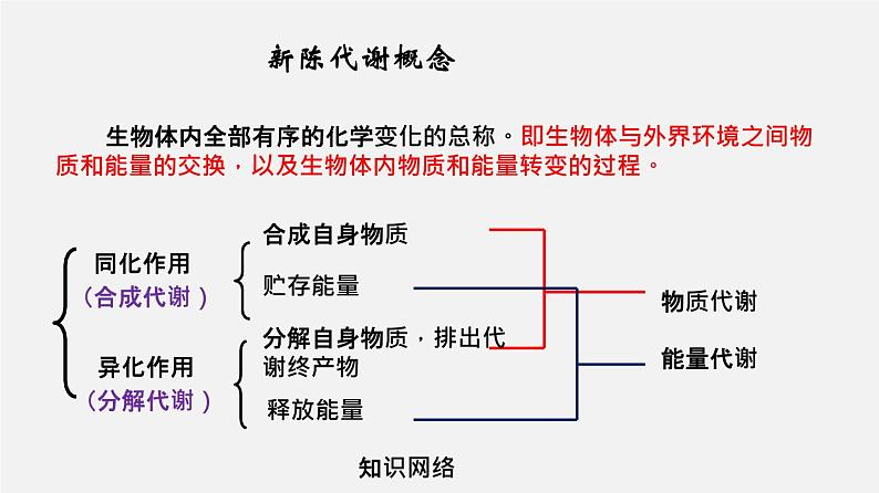 (人教版)高考生物二轮复习课件专题05 酶和ATP (含解析)第3页