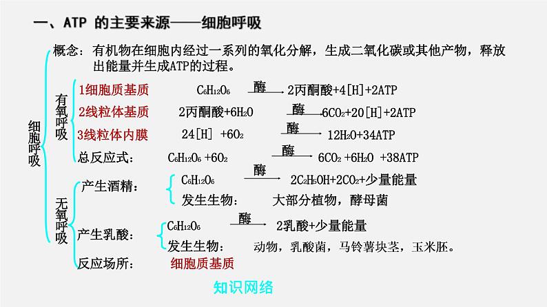 (人教版)高考生物二轮复习课件专题06 光合作用和细胞呼吸 (含解析)02