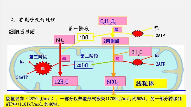 (人教版)高考生物二轮复习课件专题06 光合作用和细胞呼吸 (含解析)05