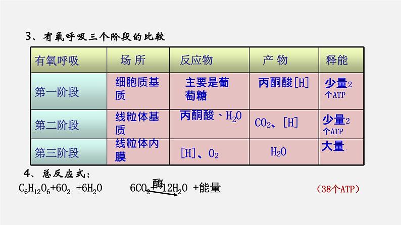 (人教版)高考生物二轮复习课件专题06 光合作用和细胞呼吸 (含解析)06