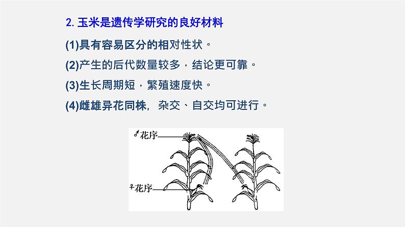 (人教版)高考生物二轮复习课件专题08 孟德尔遗传定律 (含解析)第7页