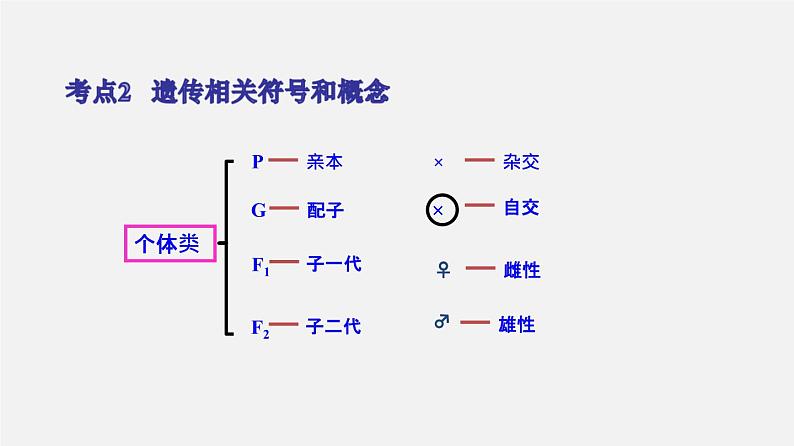(人教版)高考生物二轮复习课件专题08 孟德尔遗传定律 (含解析)第8页