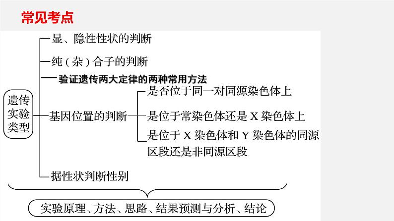 (人教版)高考生物二轮复习课件专题10 遗传实验探究 (含解析)第2页