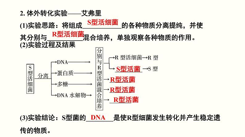 (人教版)高考生物二轮复习课件专题11 遗传的分子基础 (含解析)第5页