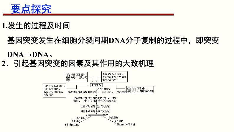 (人教版)高考生物二轮复习课件专题12 可遗传变异与育种 (含解析)第6页