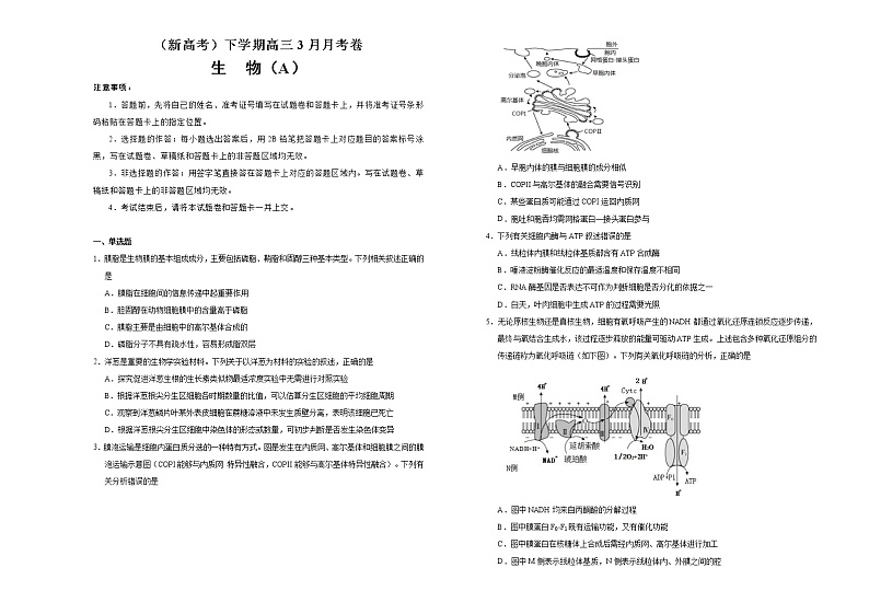 （新高考）高三生物3月月考卷 生物（A卷）(2份打包，解析版+原卷版，可预览)01