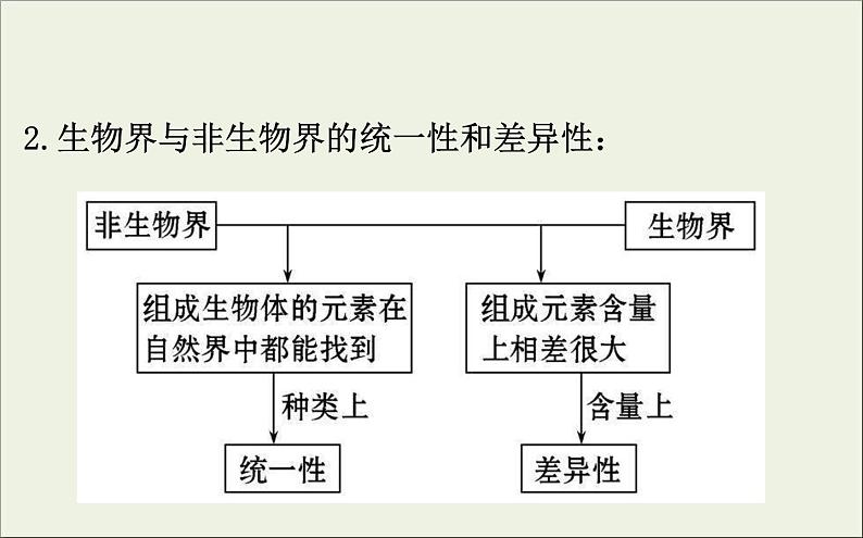 (通用版)高考生物一轮复习课件1.2细胞中的元素和化合物(含解析)第5页