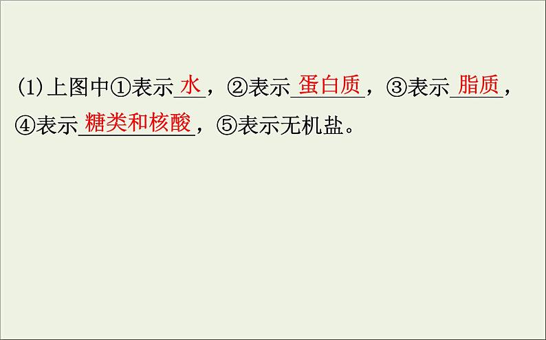 (通用版)高考生物一轮复习课件1.2细胞中的元素和化合物(含解析)第7页