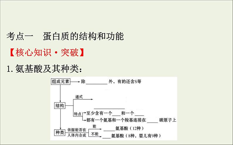 (通用版)高考生物一轮复习课件1.3生命活动的主要承担者__蛋白质(含解析)第4页