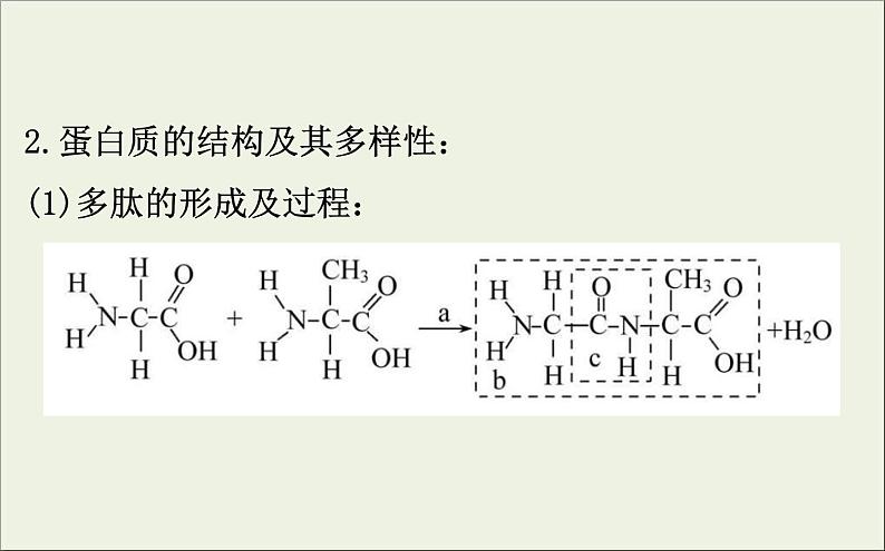 (通用版)高考生物一轮复习课件1.3生命活动的主要承担者__蛋白质(含解析)第5页