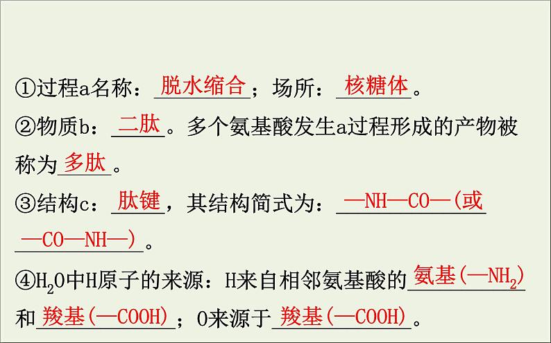 (通用版)高考生物一轮复习课件1.3生命活动的主要承担者__蛋白质(含解析)第6页