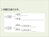 (通用版)高考生物一轮复习课件1.4核酸糖类和脂质(含解析)
