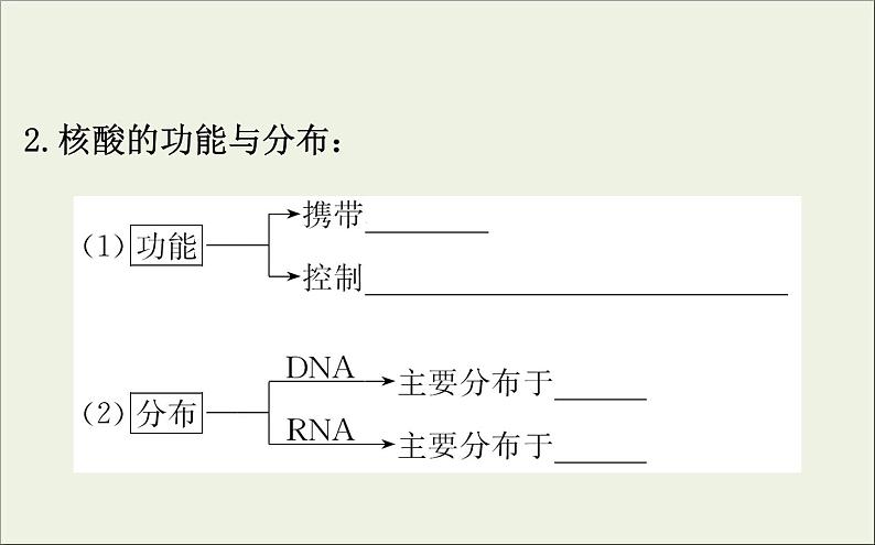 (通用版)高考生物一轮复习课件1.4核酸糖类和脂质(含解析)05