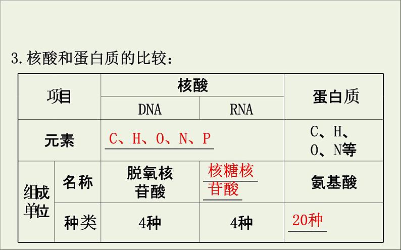 (通用版)高考生物一轮复习课件1.4核酸糖类和脂质(含解析)06