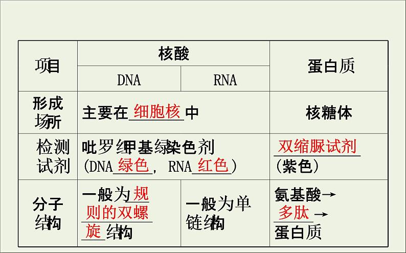 (通用版)高考生物一轮复习课件1.4核酸糖类和脂质(含解析)07