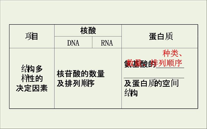 (通用版)高考生物一轮复习课件1.4核酸糖类和脂质(含解析)08