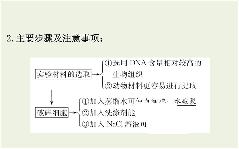 (通用版)高考生物一轮复习课件1.4生物技术在其他方面的应用(含解析)第8页