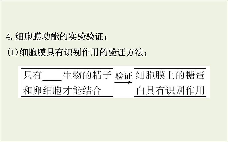 (通用版)高考生物一轮复习课件2.1细胞膜和流动镶嵌模型(含解析)第7页