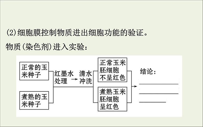 (通用版)高考生物一轮复习课件2.1细胞膜和流动镶嵌模型(含解析)第8页