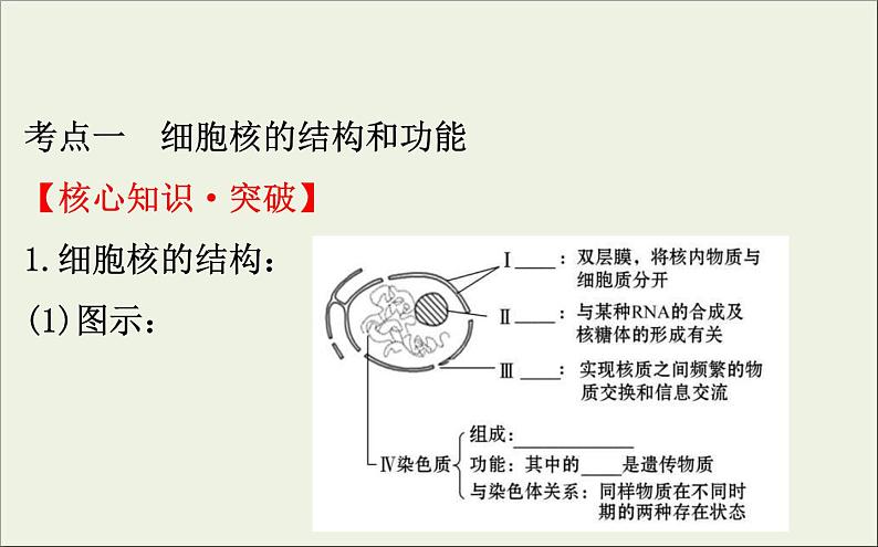 (通用版)高考生物一轮复习课件2.3细胞核__系统的控制中心(含解析)第4页