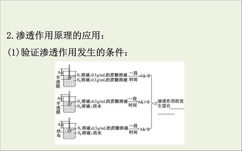 (通用版)高考生物一轮复习课件2.4物质跨膜运输的实例和方式(含解析)第5页