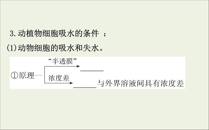 (通用版)高考生物一轮复习课件2.4物质跨膜运输的实例和方式(含解析)第7页