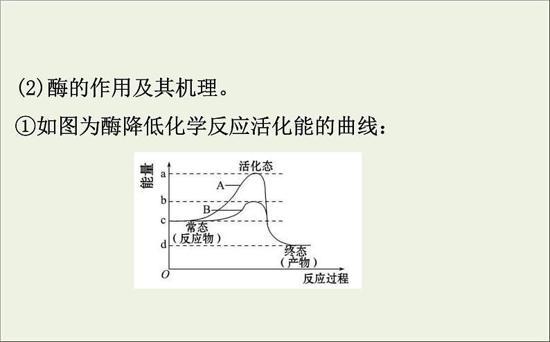 (通用版)高考生物一轮复习课件3.1酶和ATP(含解析)第6页