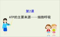 (通用版)高考生物一轮复习课件3.2ATP的主要来源__细胞呼吸(含解析)