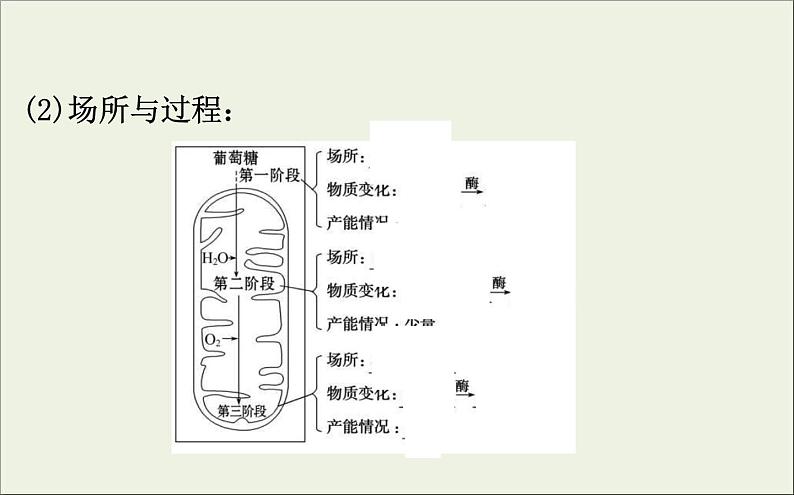 (通用版)高考生物一轮复习课件3.2ATP的主要来源__细胞呼吸(含解析)06