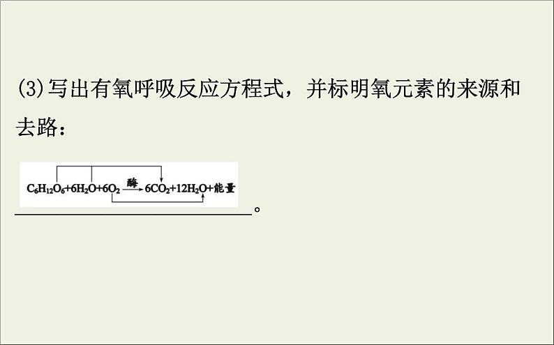 (通用版)高考生物一轮复习课件3.2ATP的主要来源__细胞呼吸(含解析)07