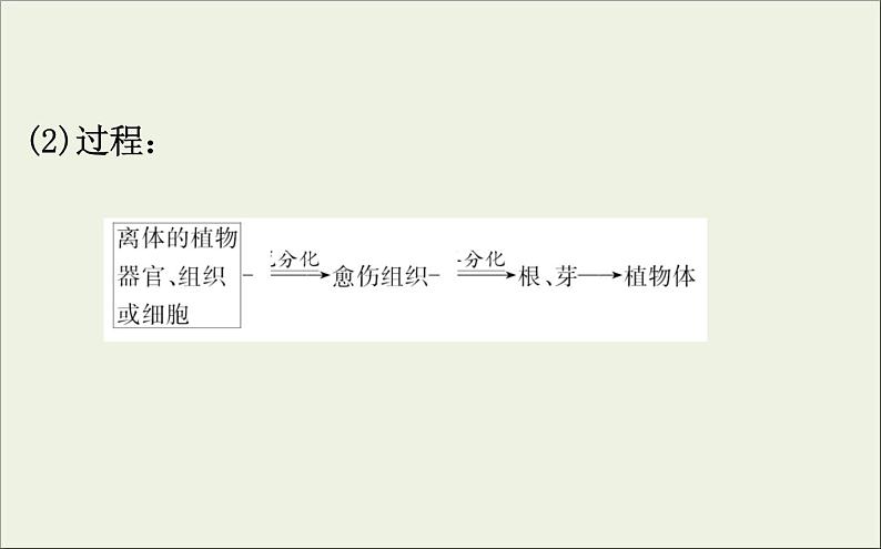 (通用版)高考生物一轮复习课件3.2植物细胞工程(含解析)第8页